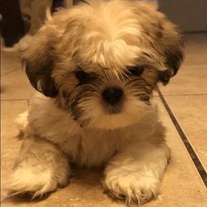 Meet your Posher, Melinda